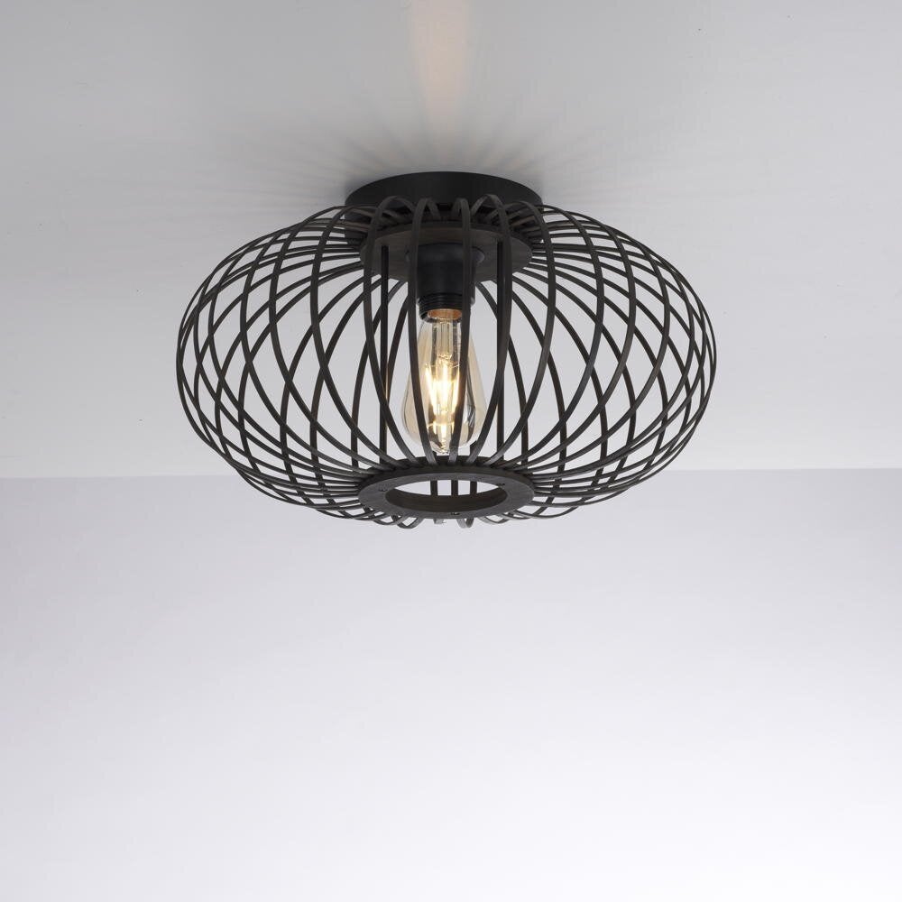 Racoon plafondlamp in zwart E27