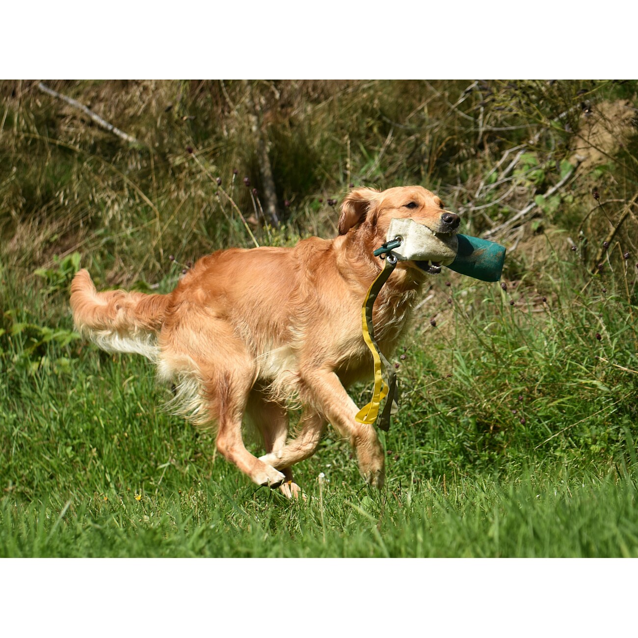 ROMNEYS Dummy Longtail Marker 500g