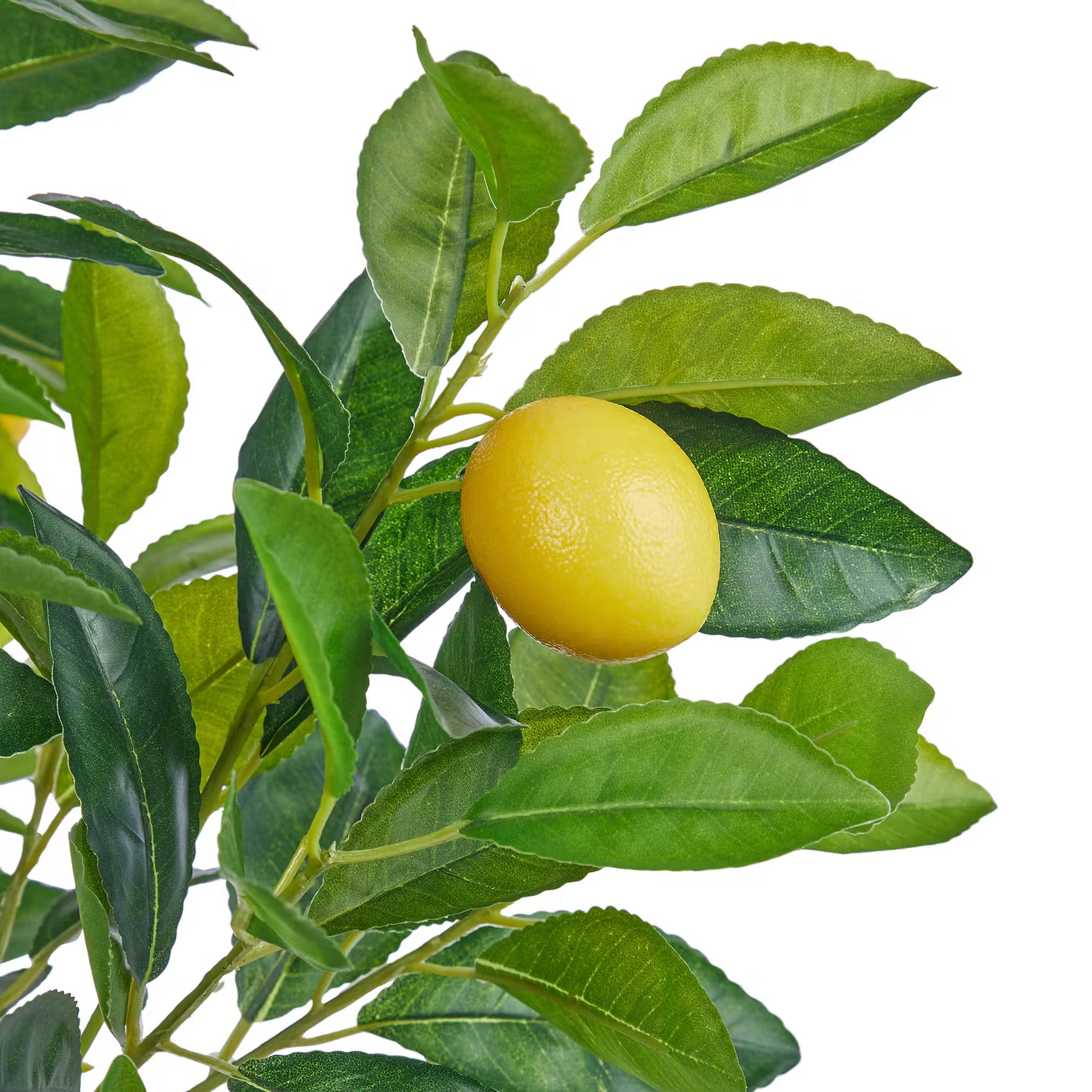 FLORISTA Kunstpflanze Zitronenbaum