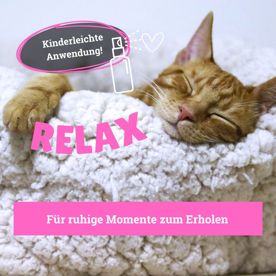 BeG Buddy COOLness Kitty Spray für Katzen, Beruhigung / Entspannung Katze