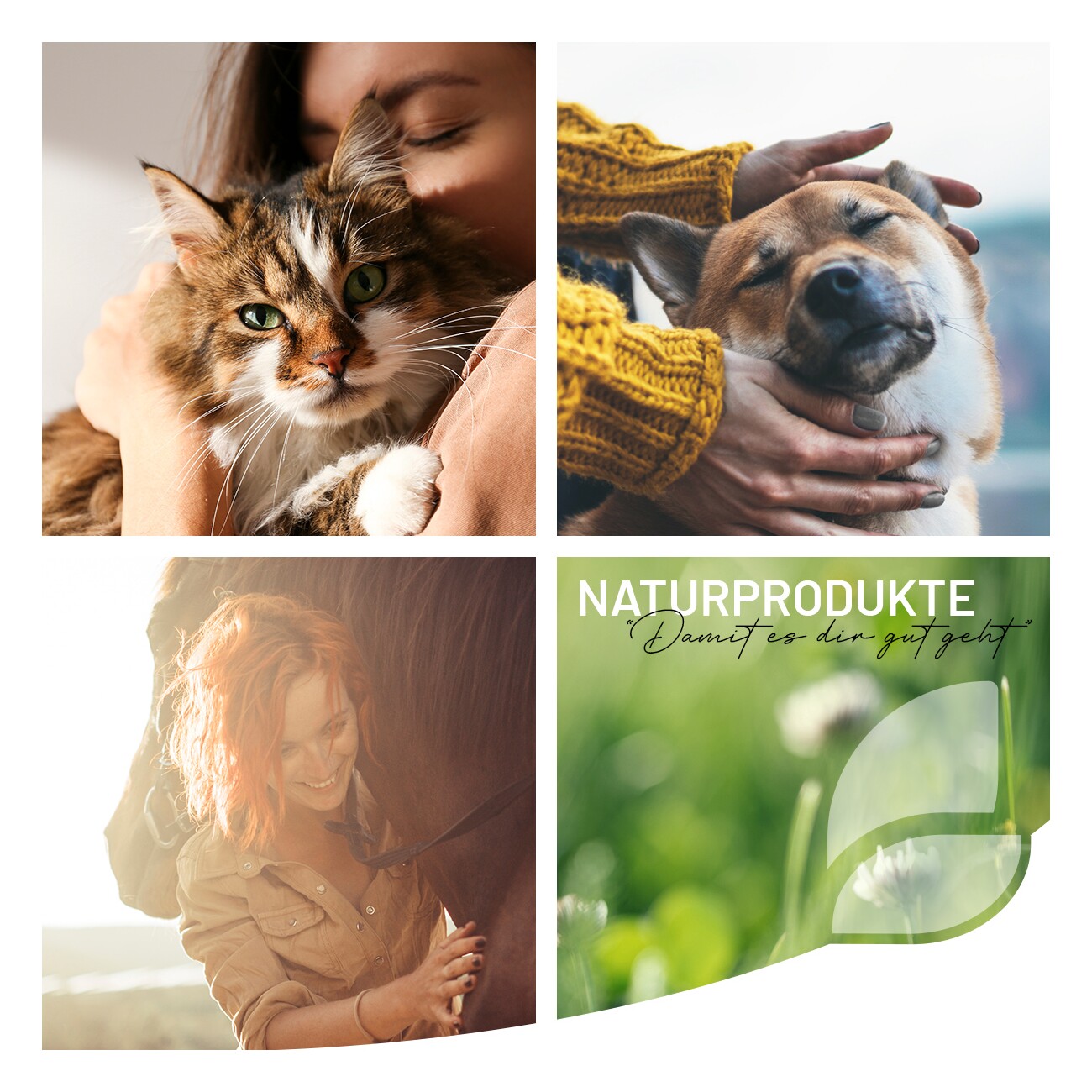 REAVET Ulmenrinde Plus für Katzen 50g