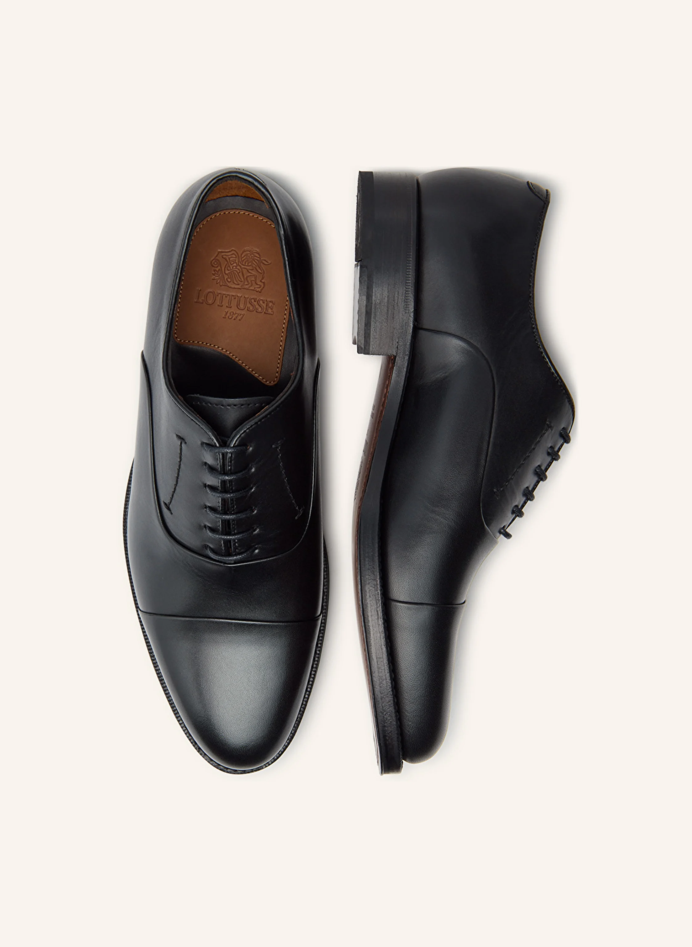 LOTTUSSE Oxford PREMIUM