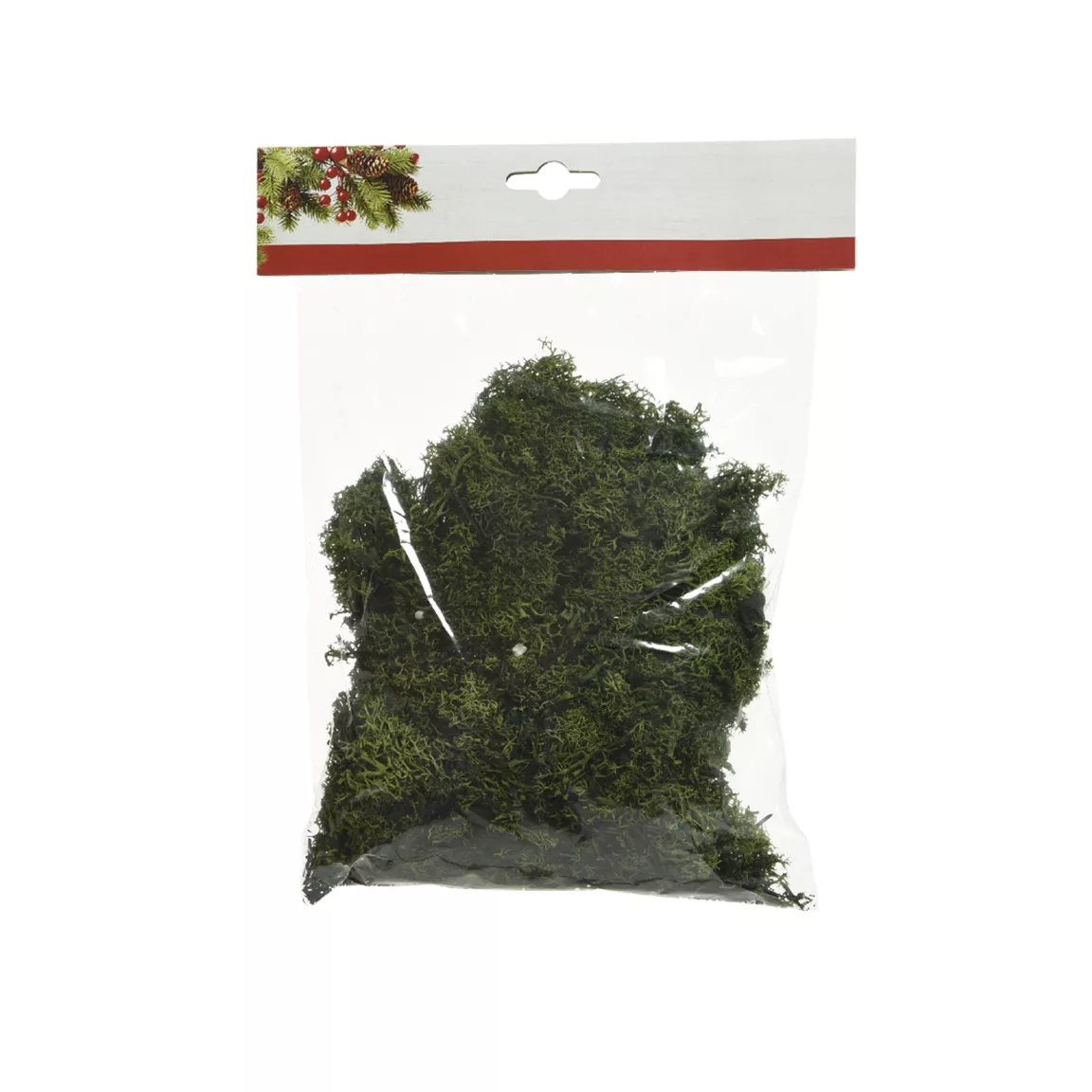 Sachet de mousse 100 gr