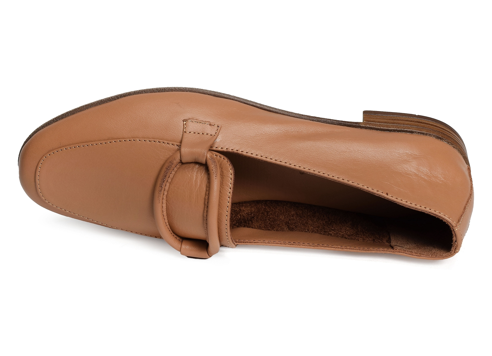 Esparros camel