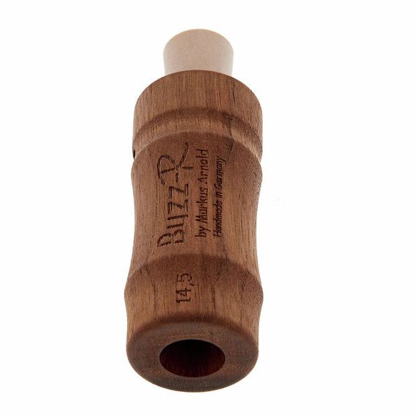 Markus Arnold Buzz-R Alphorn Bader Aufnahme