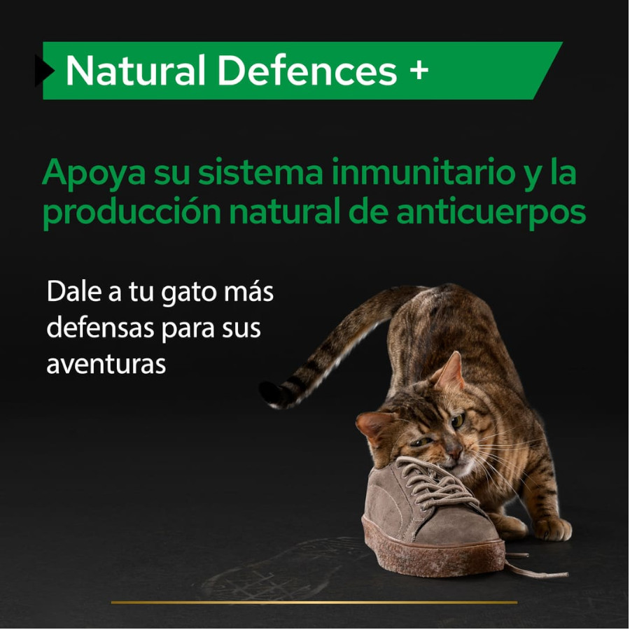 Pro Plan Natural Defenses + para gatos