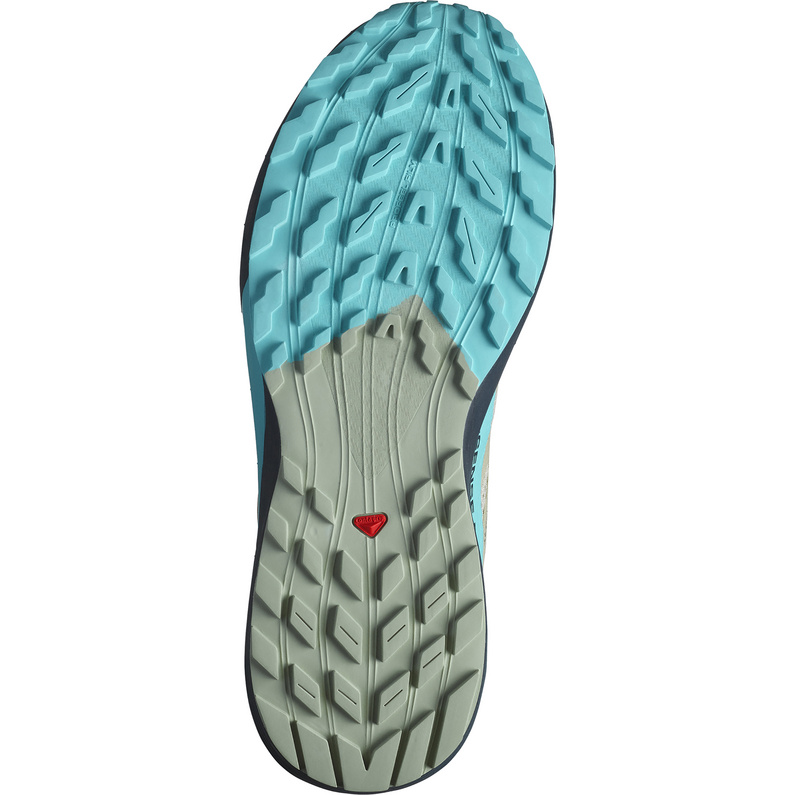 Salomon Herren Sense Ride 5 Schuhe