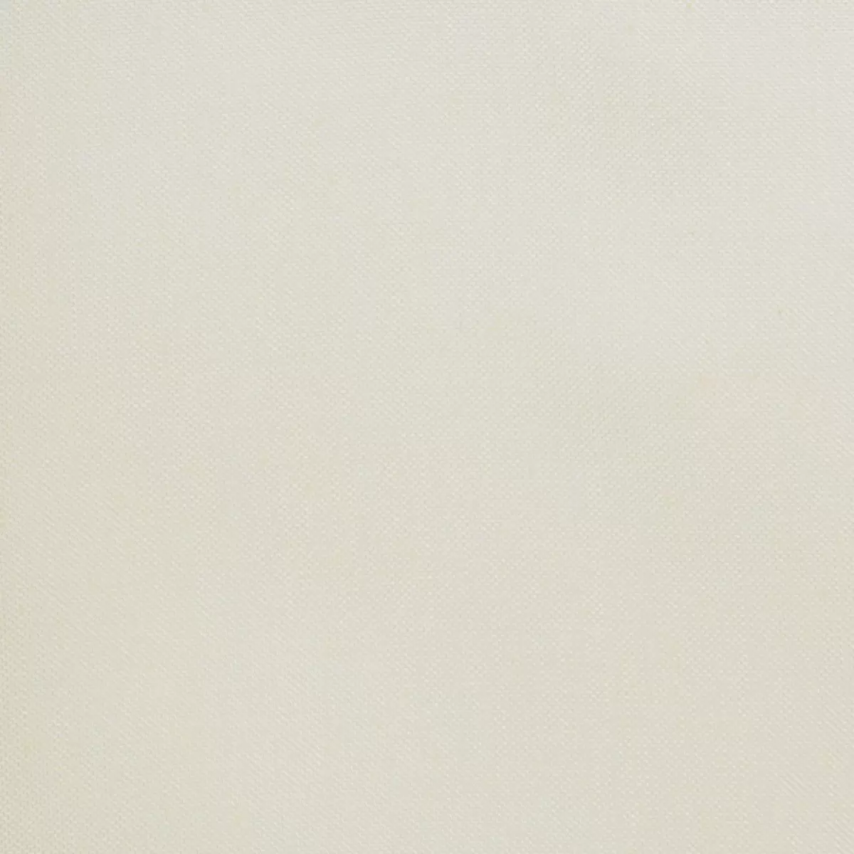Tagvorhang Mousseline Beige