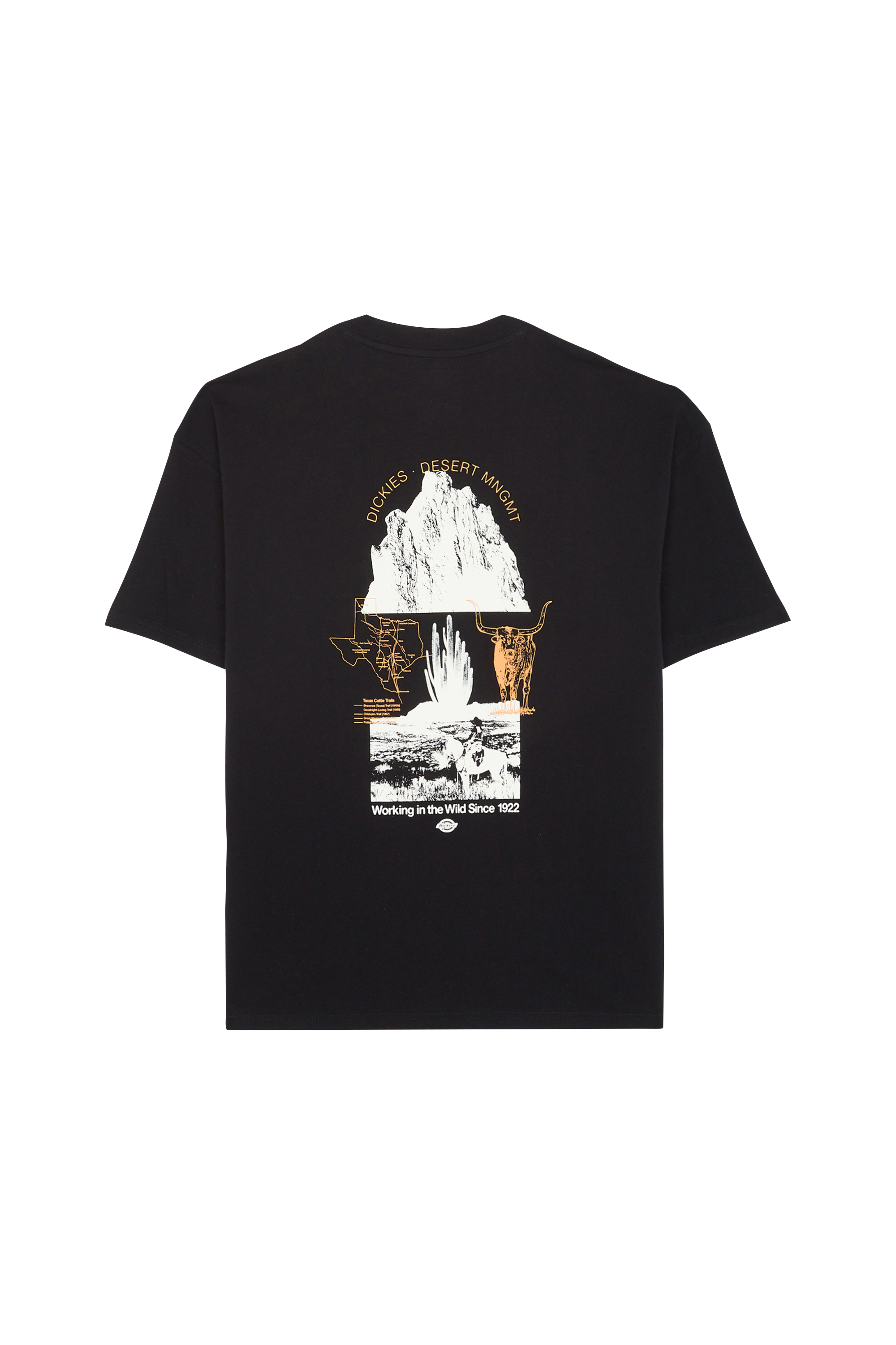 DICKIES T-shirt PEARISBURG TEE SS Noir