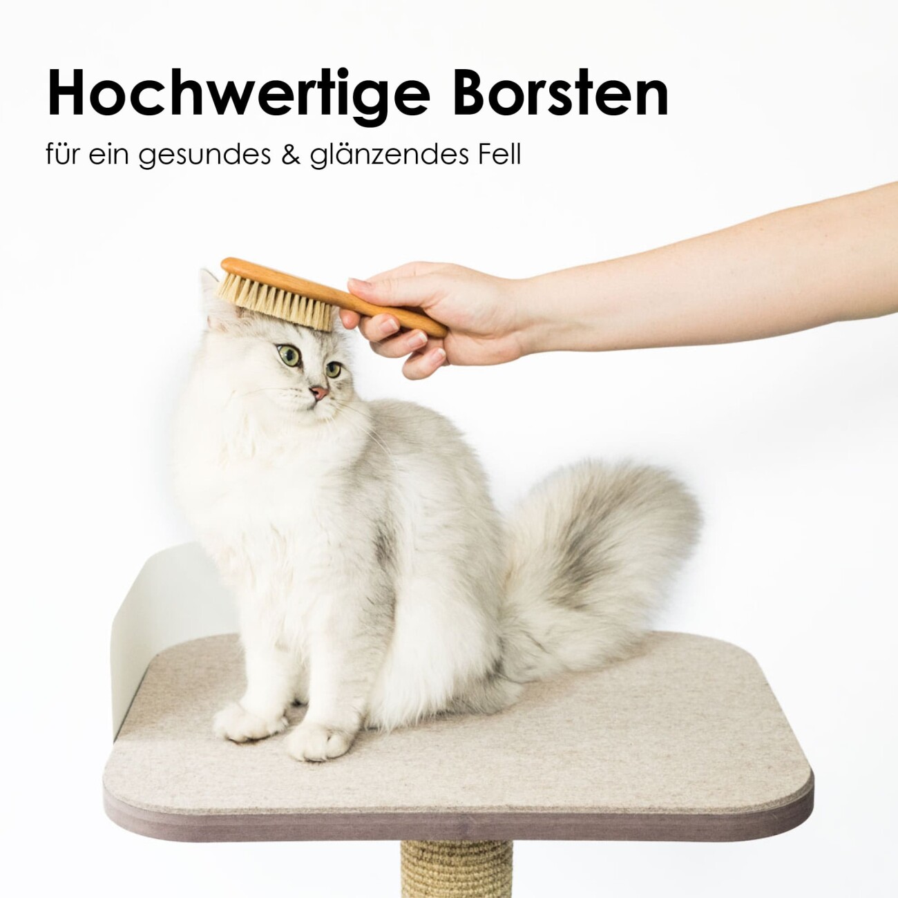 LucyBalu FIGARO Katzenbürste helles Holz