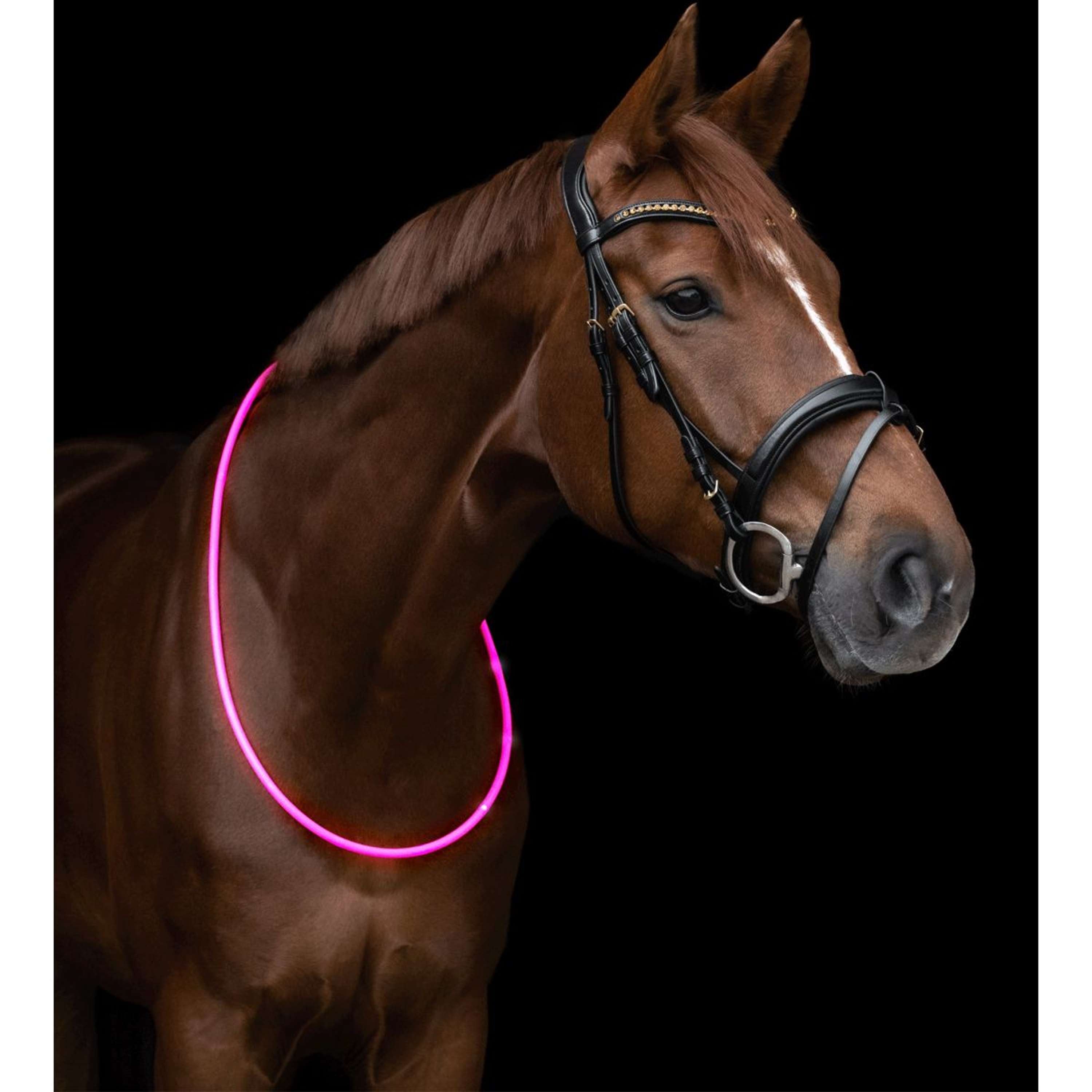 Waldhausen Halsring LED Roze
