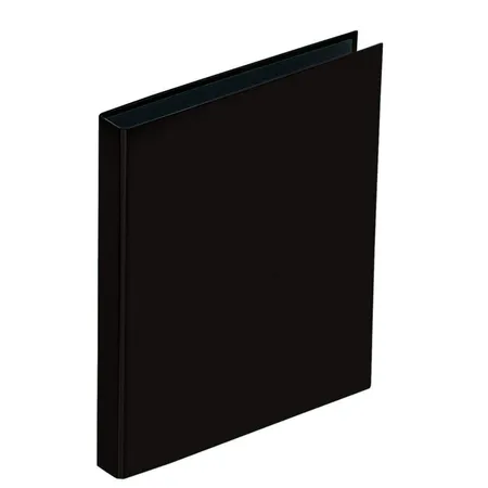 Pagna 2040701 Ringbuch Basic Colours, A5, schwarz
