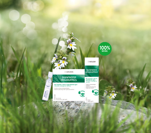 Weleda Ogentroost Druppels 10ML