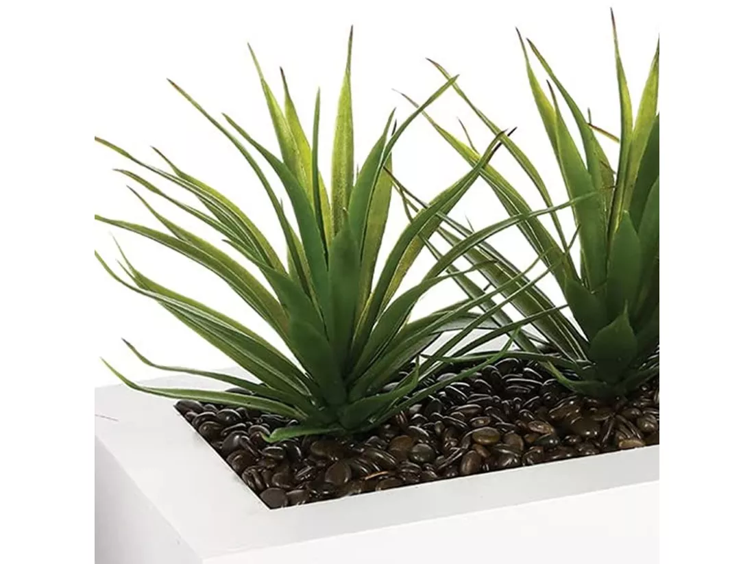 WELL HOME - Centre de table décoratif 3 plantes d'Aloe Vera H.17