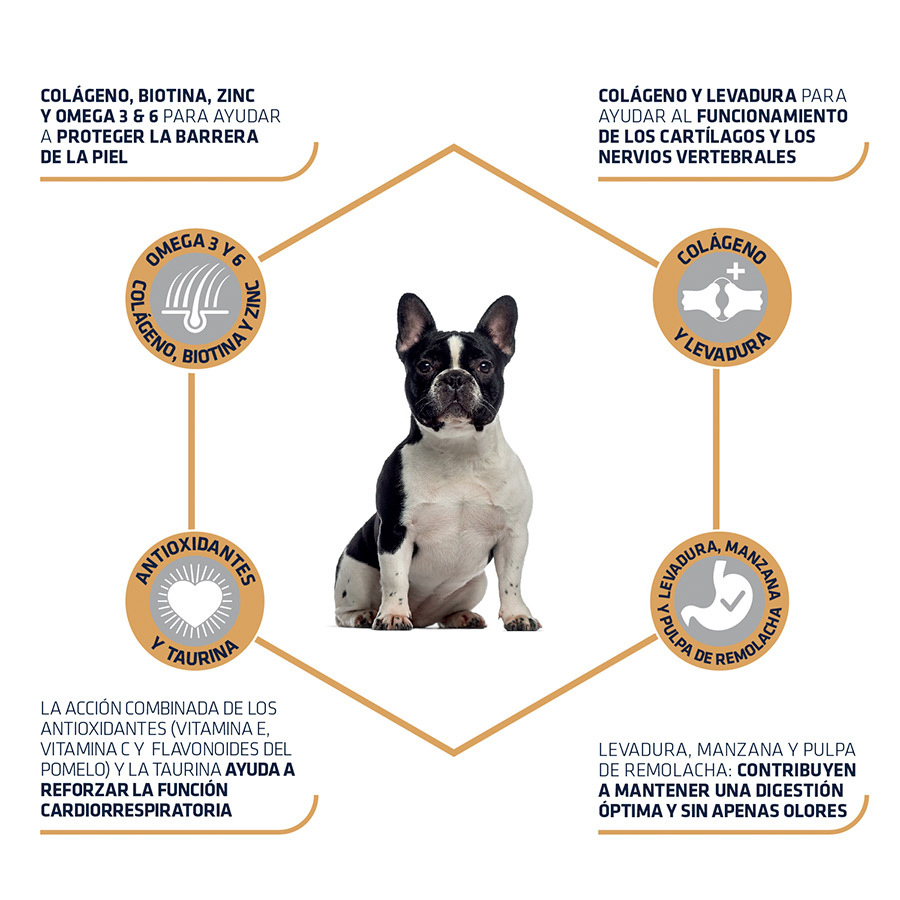 Ração Advance French Bulldog Active Defense com Pato e Arroz para Cães