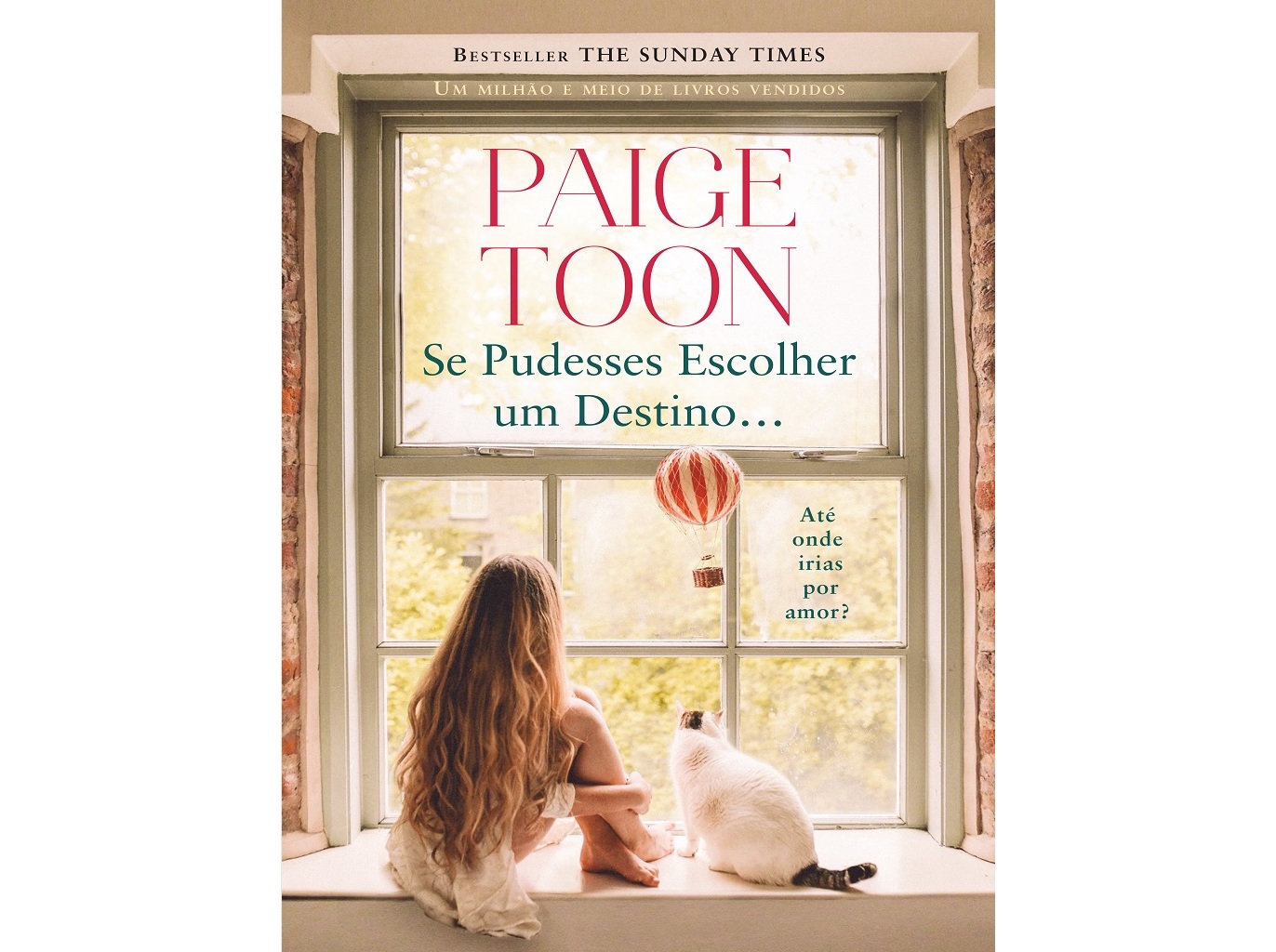 LIVRO SE PUDESSES ESCOLHER UM DESTINO... DE PAIGE TOON