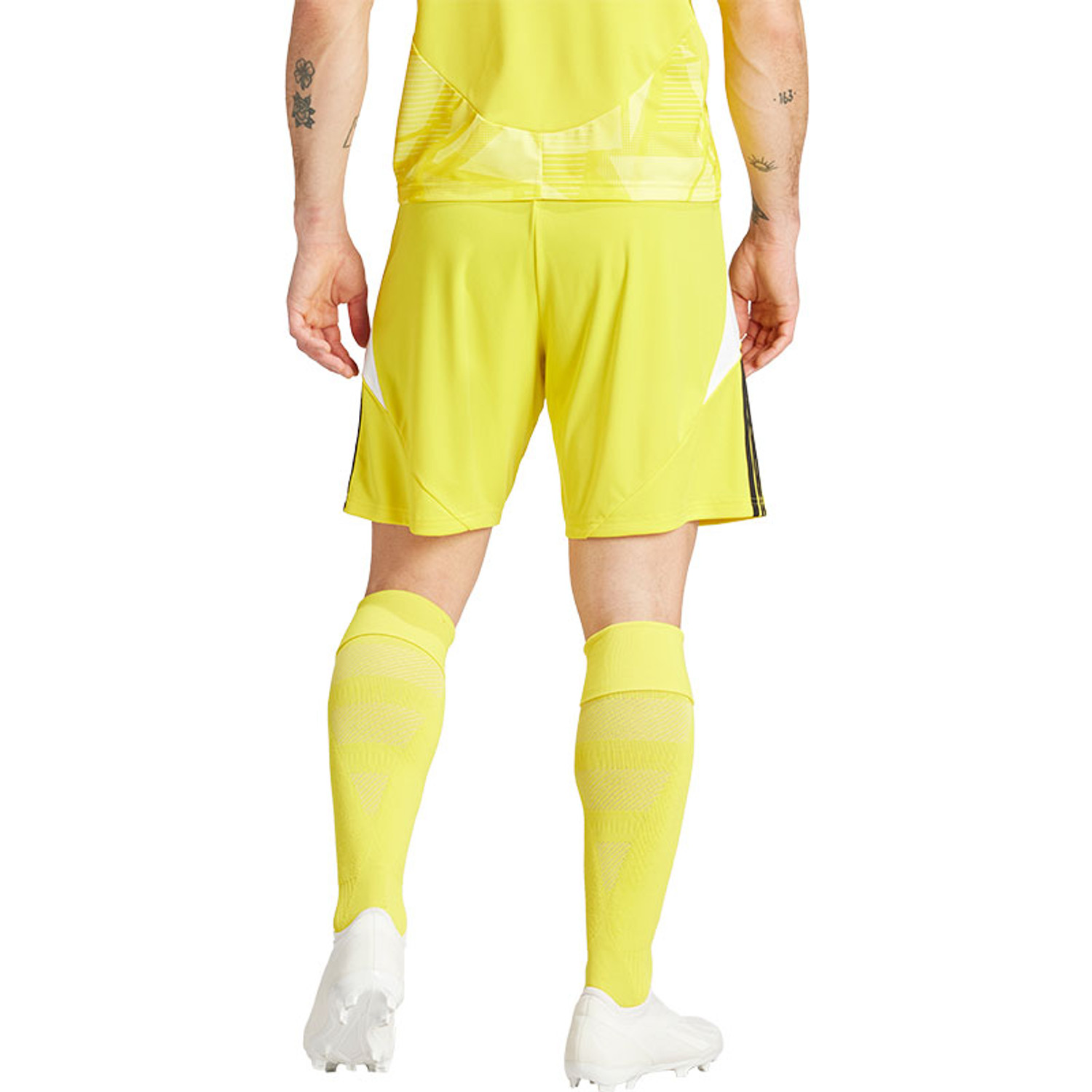 adidas Campeon 25 Trainingsset