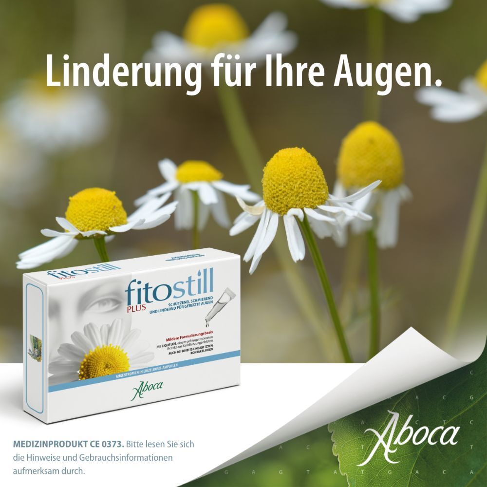fitostill PLUS Augentropfen