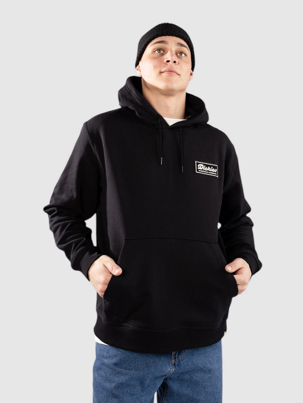 Dickies Lewistown Hoodie black