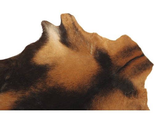 Geitenbont, bruin, 55x70 cm