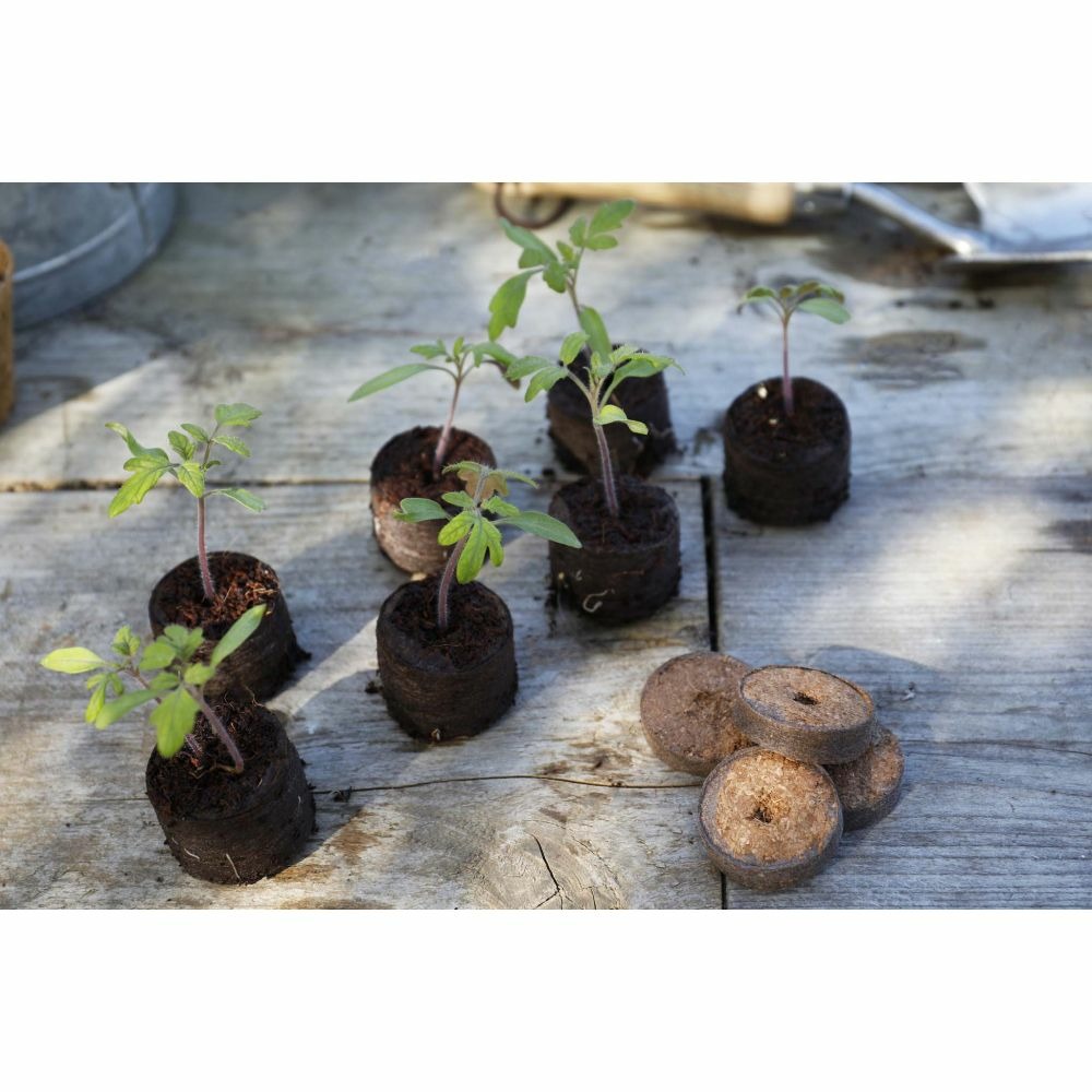 Set de 50 poches de plantation en filet