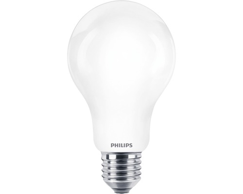 LED-lamp A67 mat E27/13W(120W) 2000 lm 2700 K warm wit