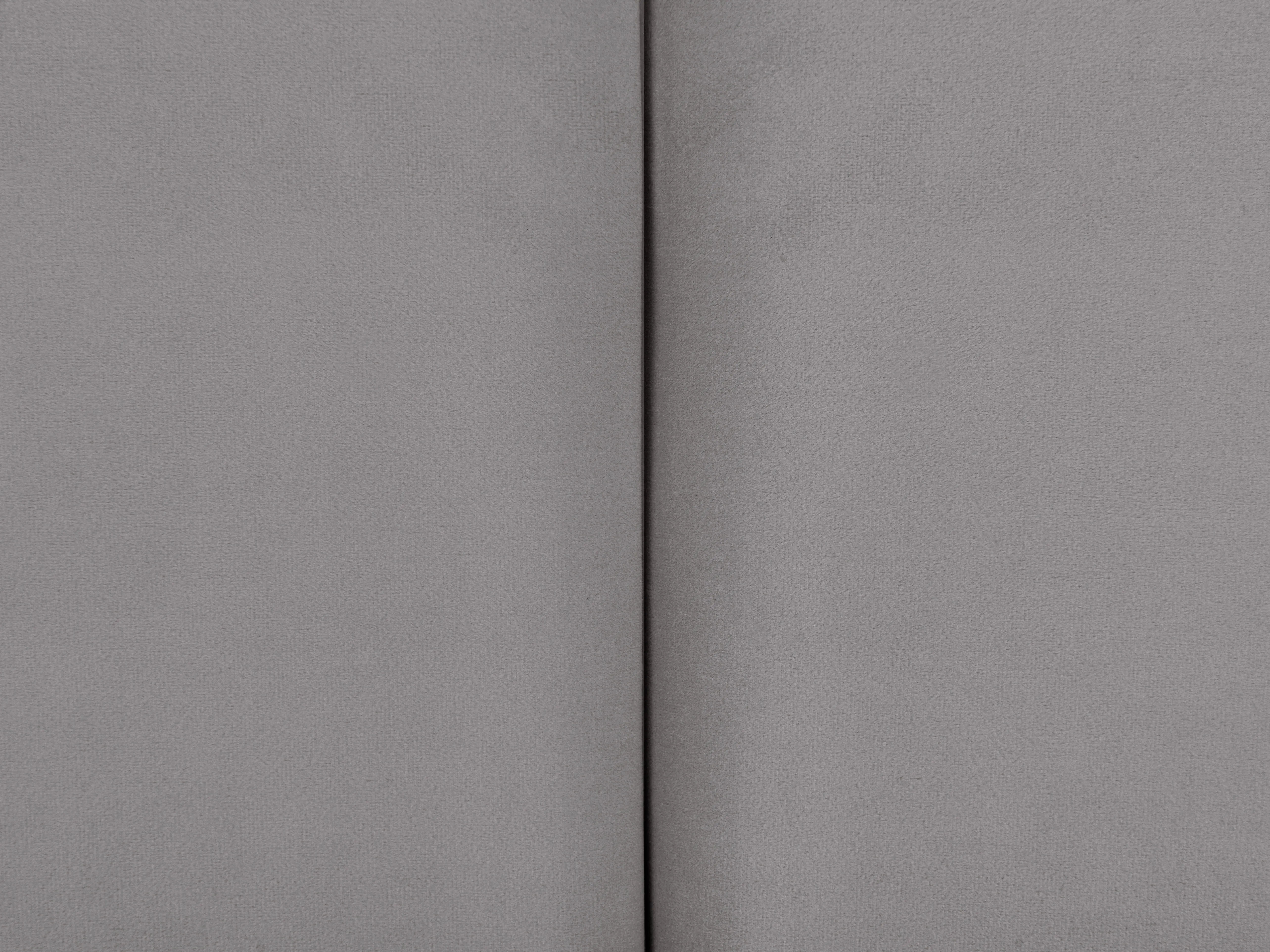 Onderschuifbed Fluweel EYBURIE 90 x 200 cm Grijs