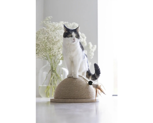 Krabmeubel ontworpen door Lotte, halve krabbal Vivi, 34,5 x 18,5 x 34,5 cm, sisal, hout