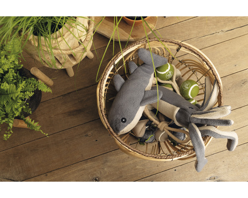 Hondenspeelgoed beeztees Minus one Walvis grijs 48 x 10 x 4 cm