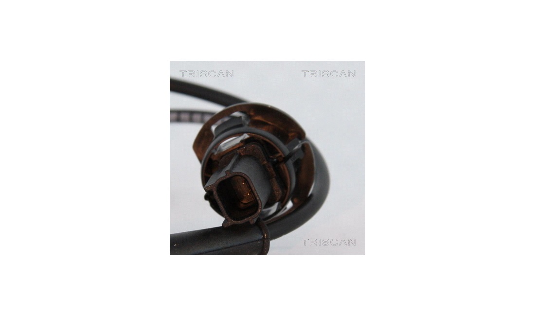 ABS sensor