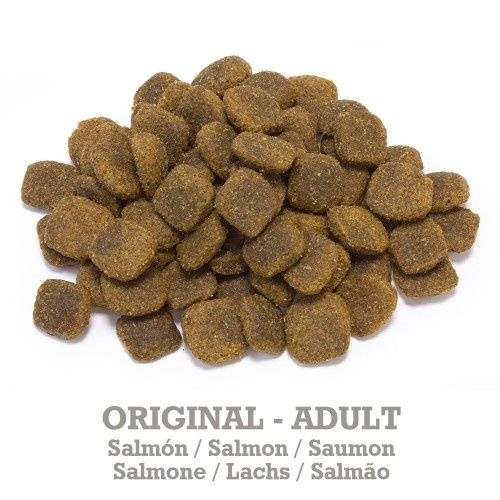 Ração Arquivet Original Salmão e Arroz para Cães Adultos
