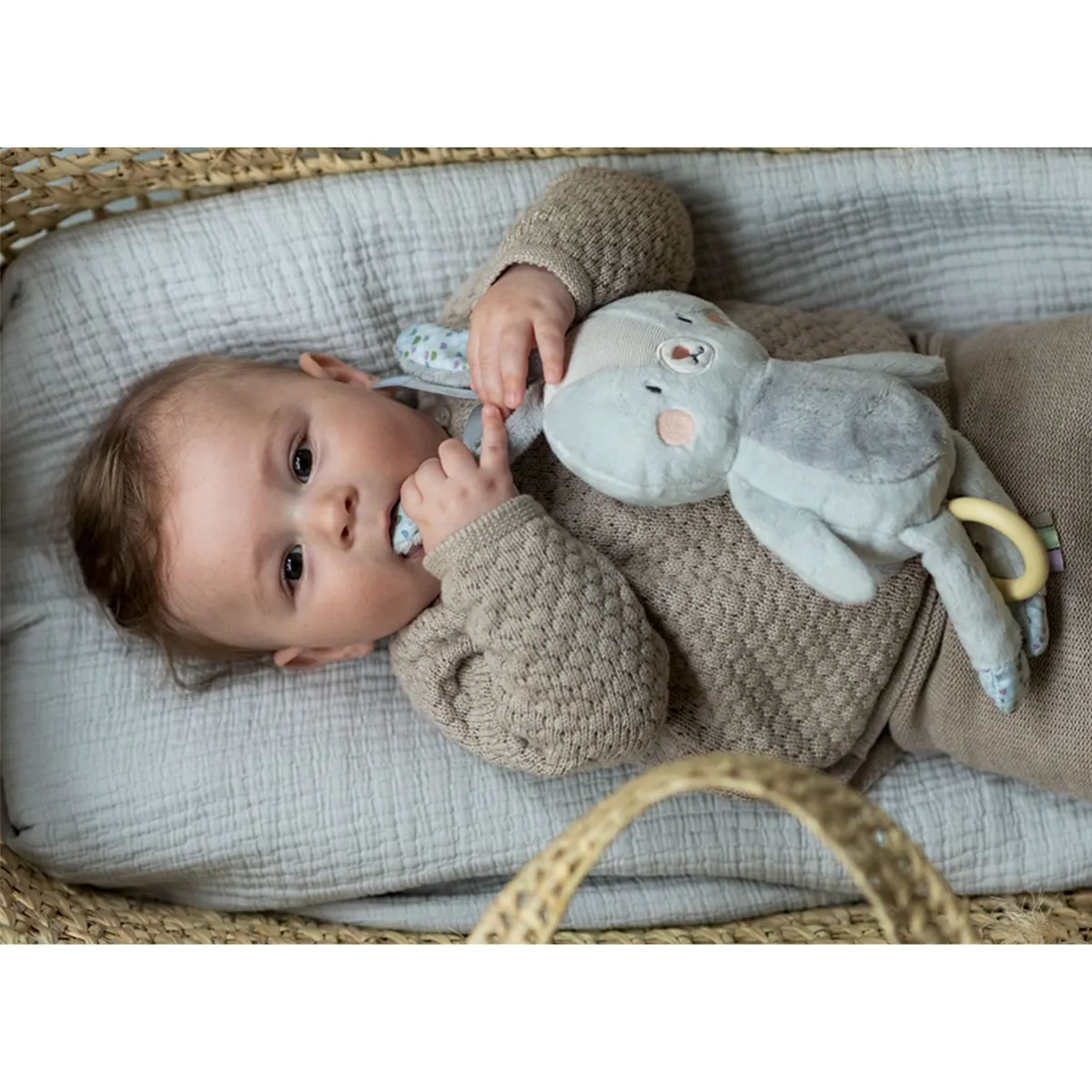 Taf Toy Lapin Musical Jouet de Poussette