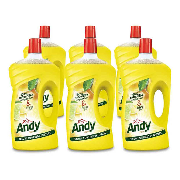 Andy Allesreiniger Citrus 1 Liter - 6 stuks