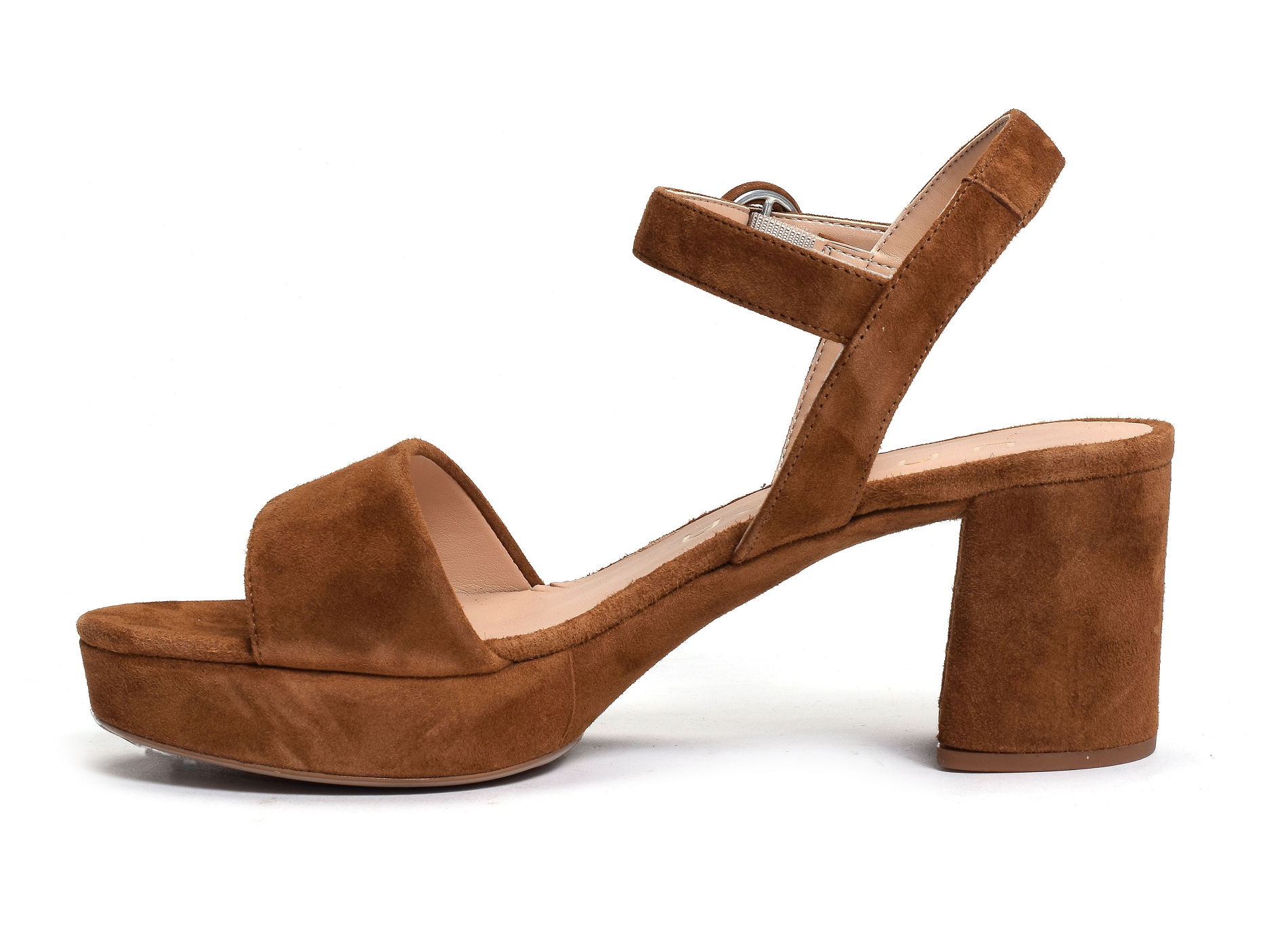 Nenes camel