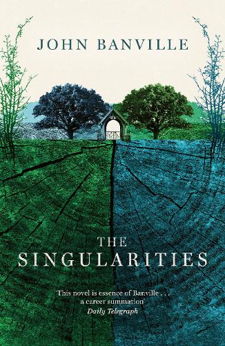 The Singularities (Paperback)