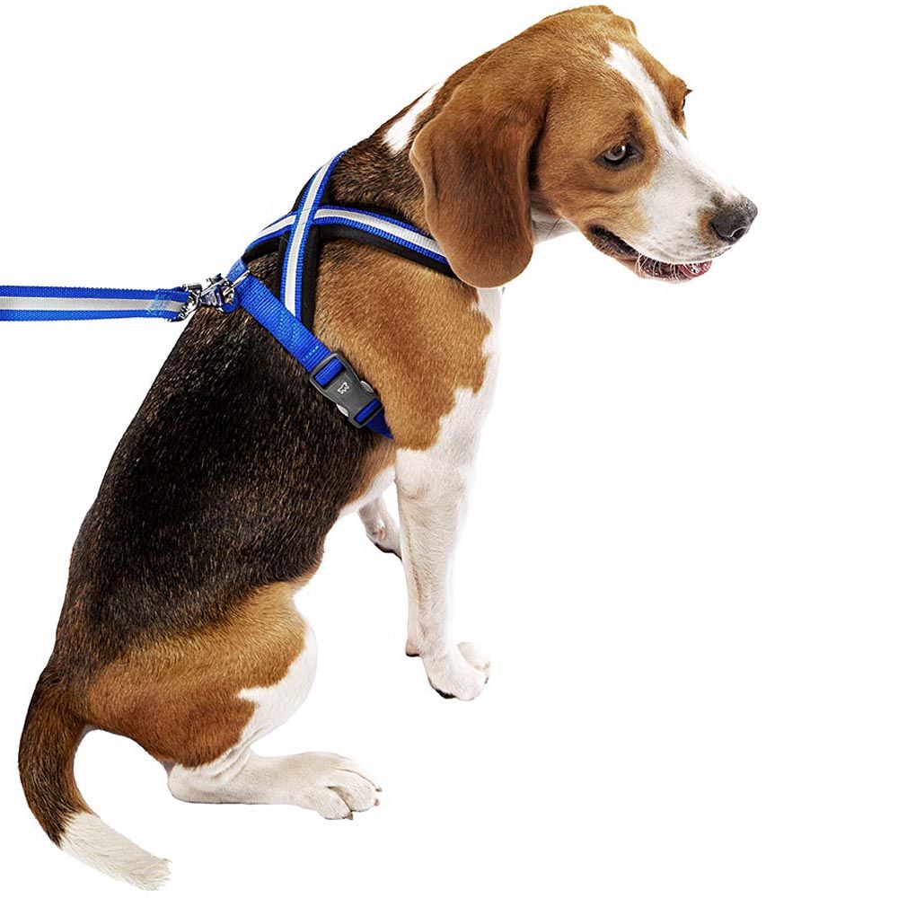Harnais pour chiens taille moyenne daytona cross m, réfléchissant, rembourrée, avec boucle magnétique