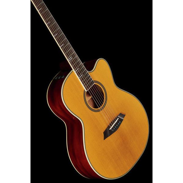 Larry Carlton A4-G NT