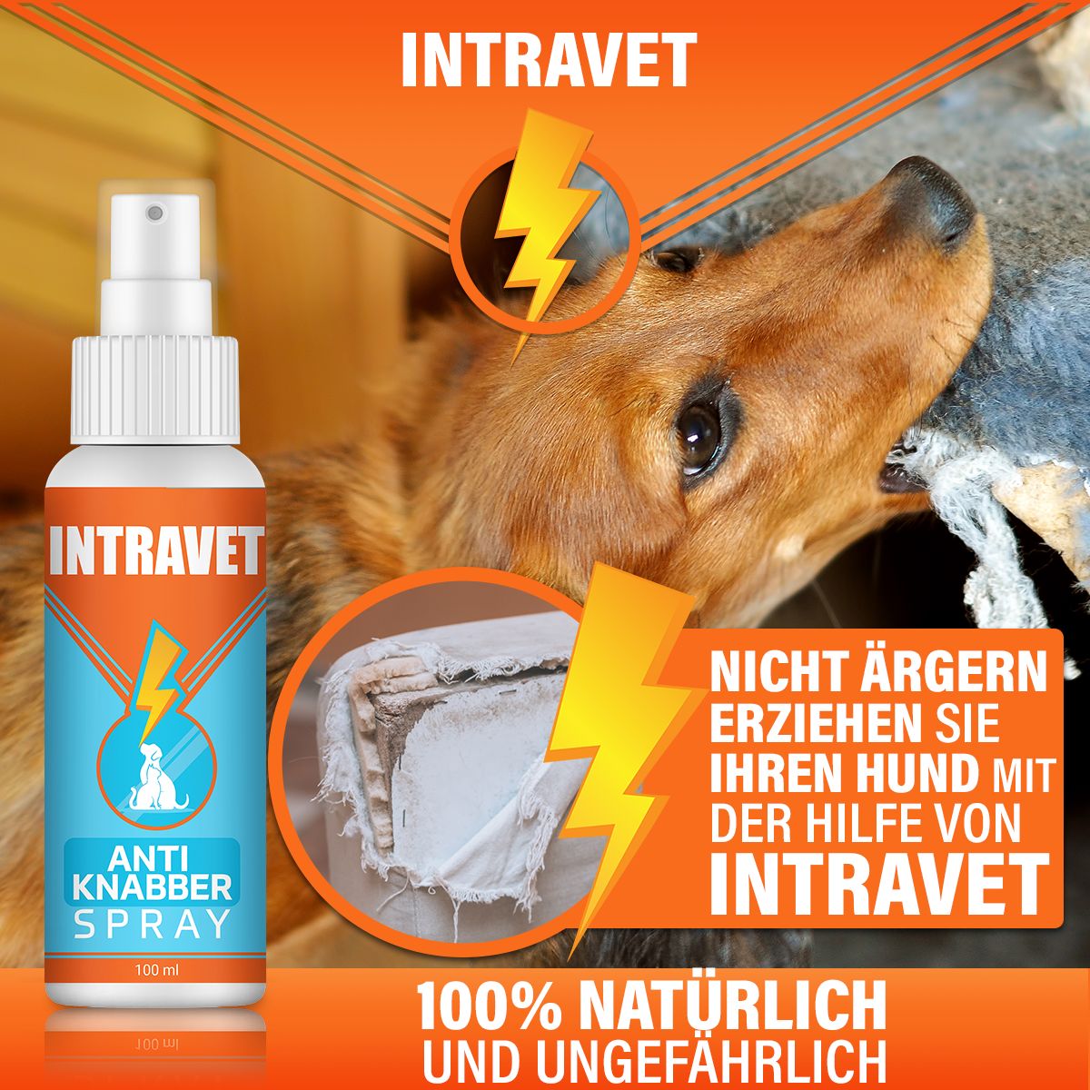 Intravet® | Anti Knabber Spray | Abwehrspray