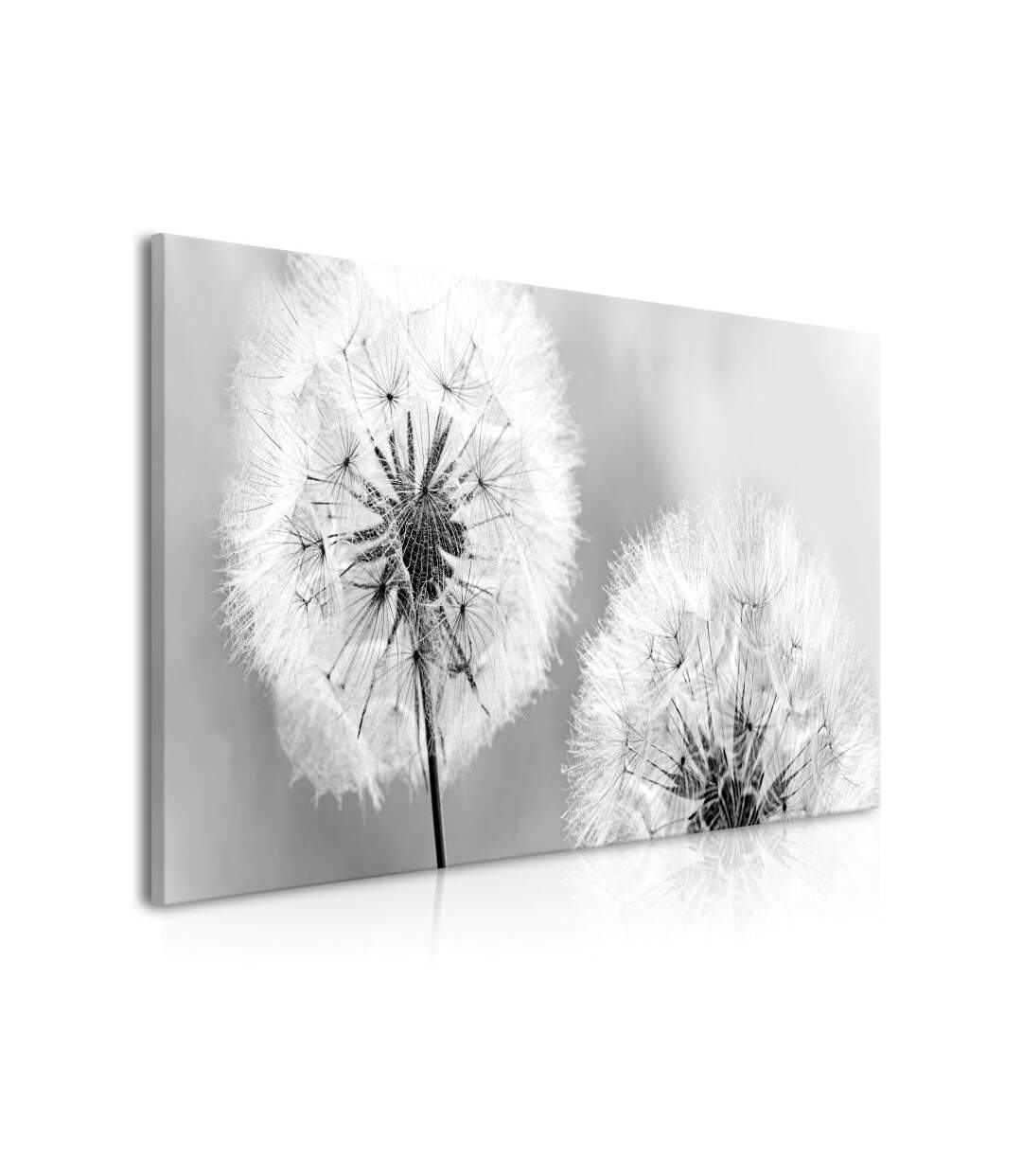 Paris Prix - Tableau Imprimé fluffy Dandelions Grey Wide 45x100cm