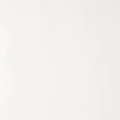 Dalle pvc Dumaplast blanc brillant (vendue à la botte)