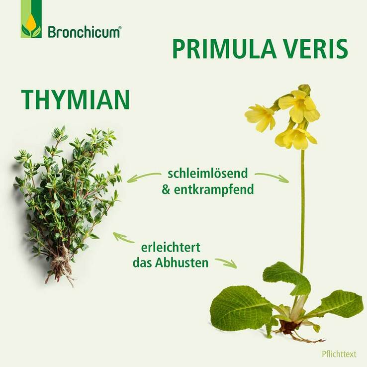 Bronchicum® Tropfen, 50 ml