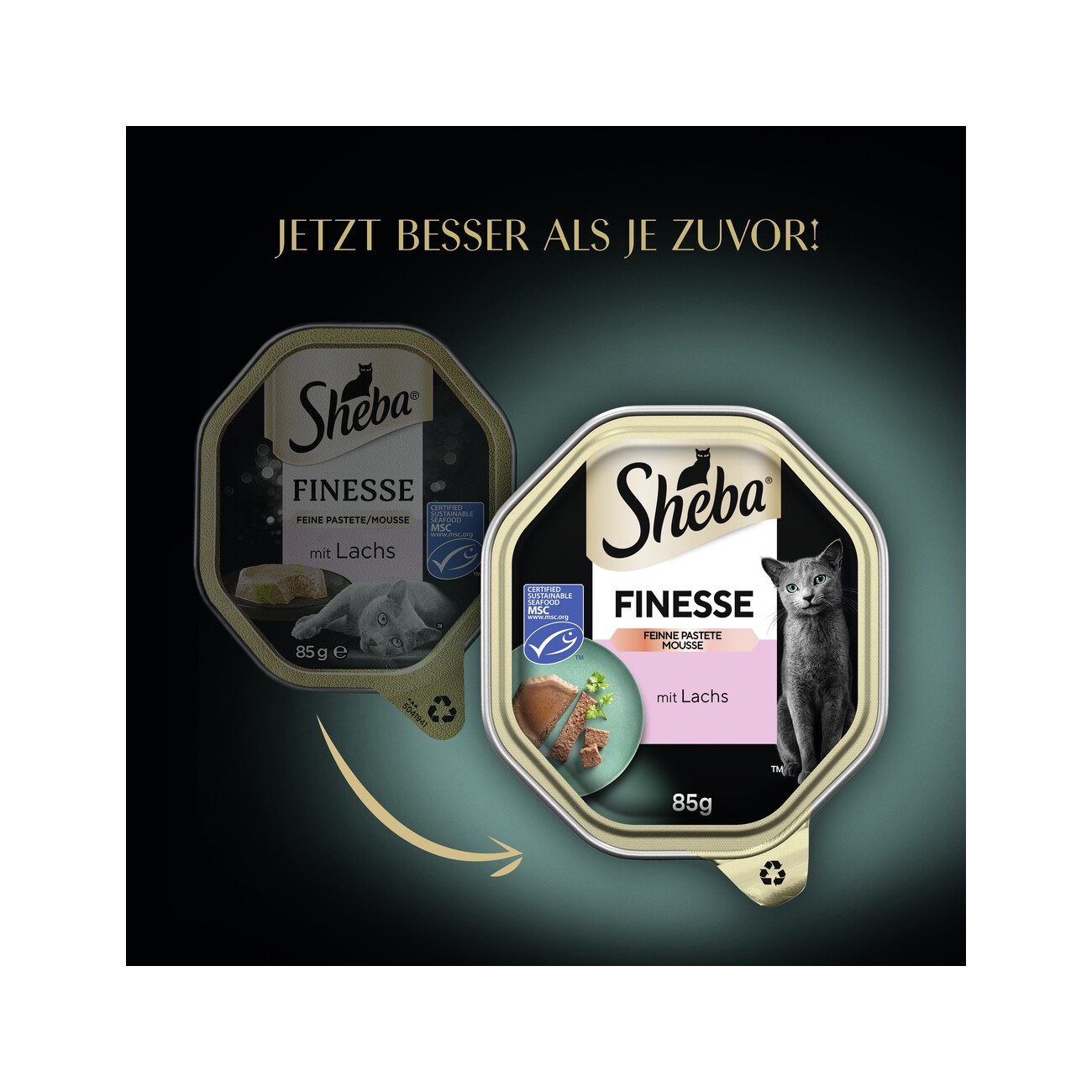 Sheba Finesse Feine Pastete 22x85g Lachs