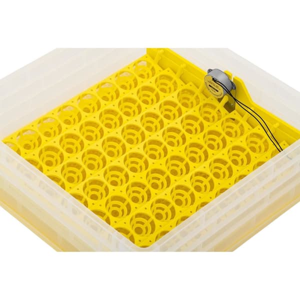 Rugemaskin, klekker, klekker for 112 kyllingegg, 120 W + ovoskop