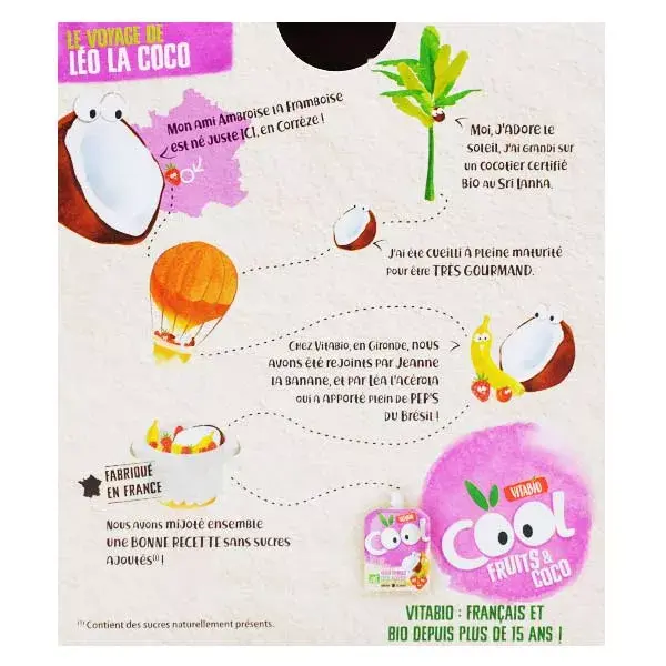 Vitabio Cool Fruits Abóboras Banana Framboesa Leite de Coco Orgânico 4 x 85g