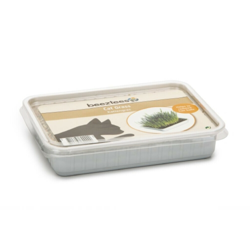 Beeztees Kattengras in Plastic Box130 gr