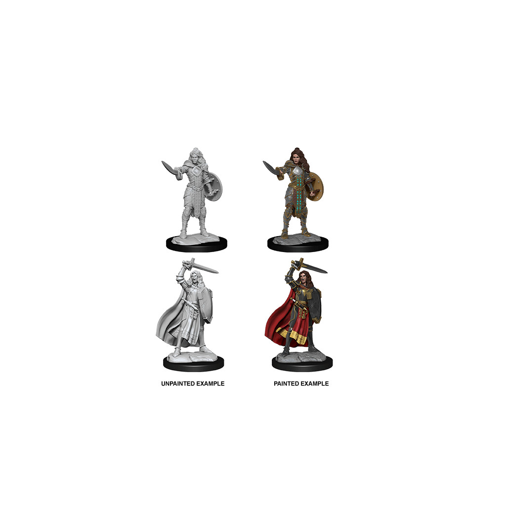 Pathfinder Deepcuts Unpainted Miniatures: Human Champion Female