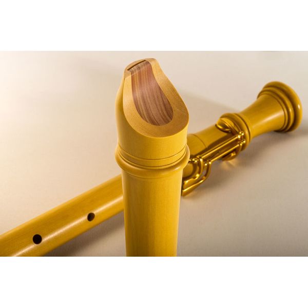 Mollenhauer 5432 Denner Tenor with Key