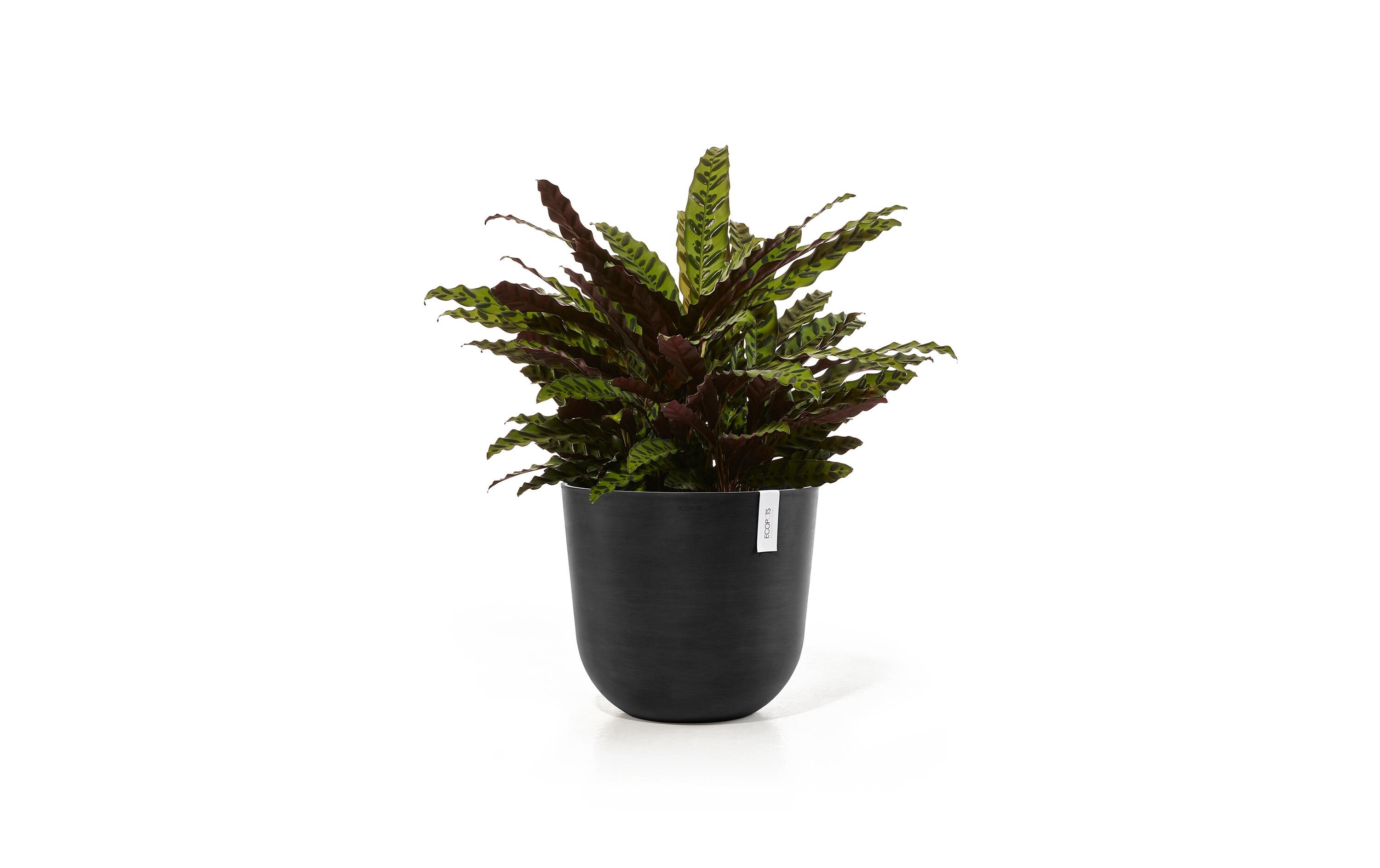 Pflanzentopf Oslo 35 DunkelgrauBlumentopf