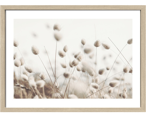 Ingelijste foto Gedroogde Vezels In De Wind II 53x73 cm