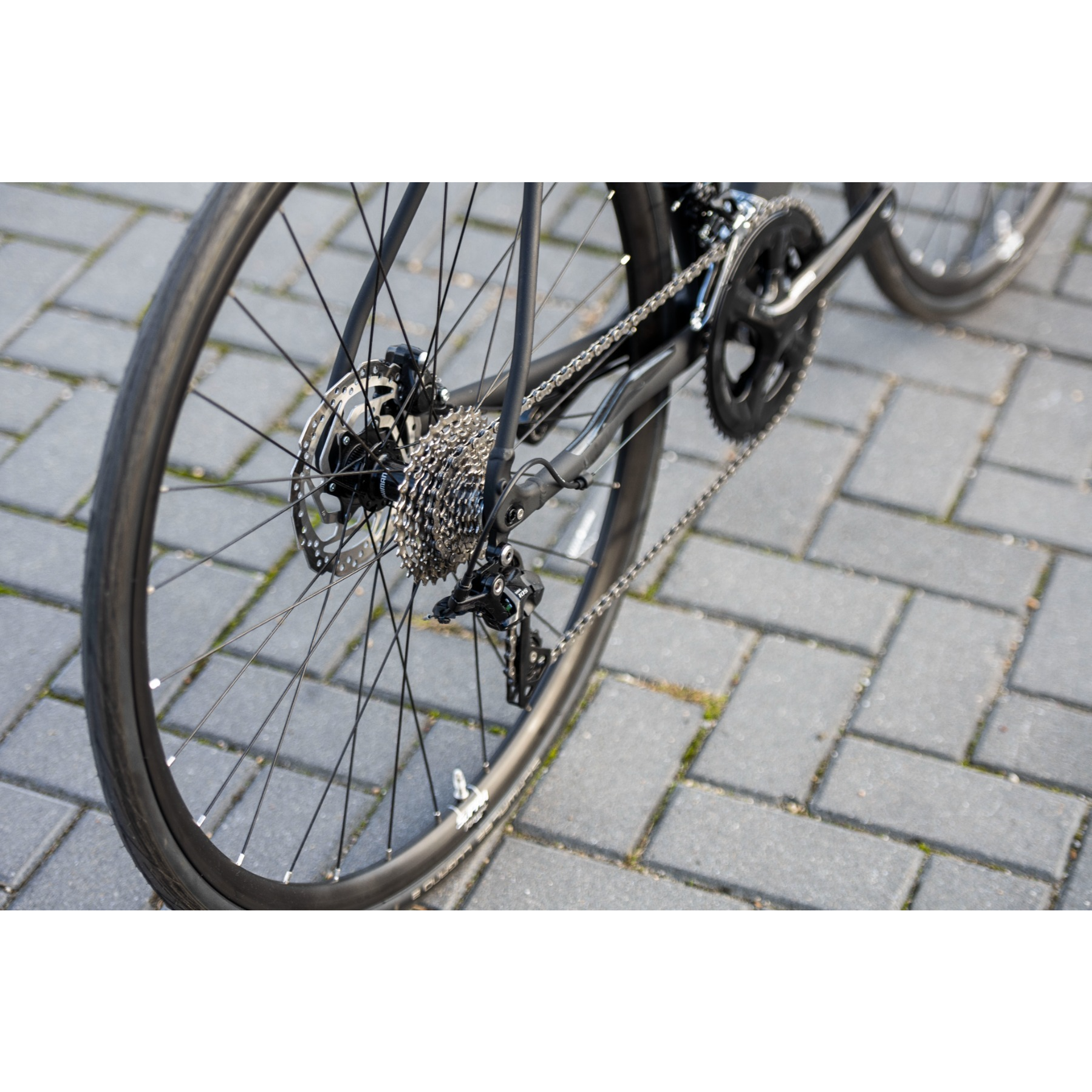 Sensa Modena LTD 105 Disc 2025